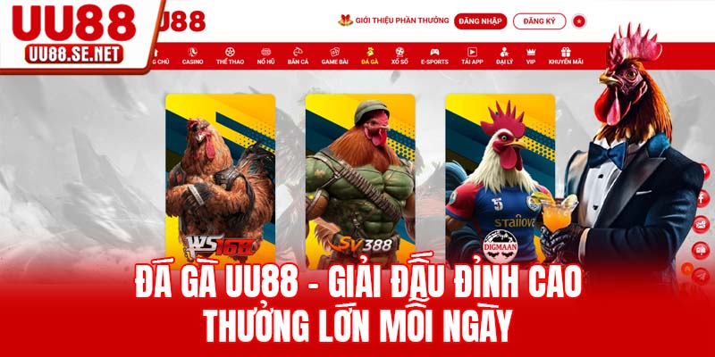 Đá Gà UU88 - Giải Đấu Đỉnh Cao Thưởng Lớn Mỗi Ngày