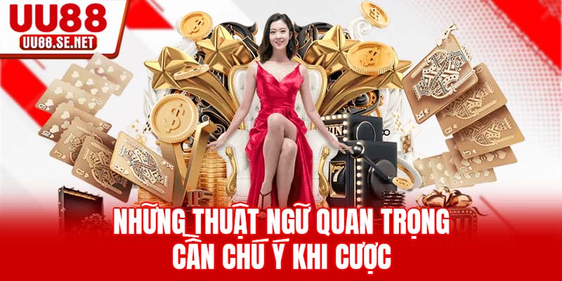 Những thuật ngữ quan trọng cần chú ý khi cược Những thuật ngữ quan trọng cần chú ý khi cược